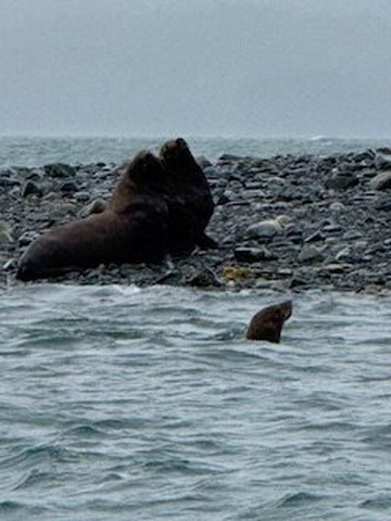 Jayleen's Alaska-朱诺必去景点