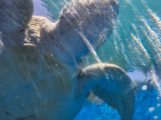 Fundação Projeto Tamar - Vitória-维多利亚必去景点