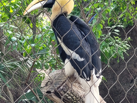 Bioparc Fuengirola-福恩吉罗拉必去景点