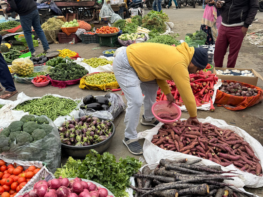 Driver India Private Tours-新德里必去景点