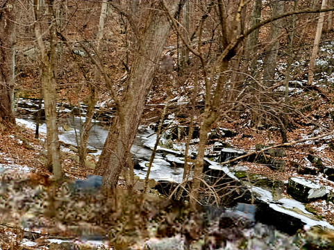 Rowlandsville Fishing Park-Conowingo必去景点