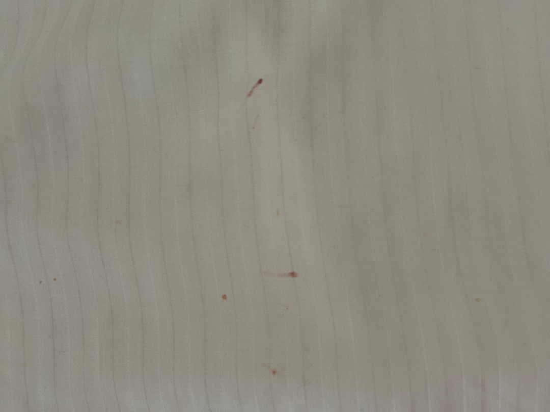 Hotel Cielo y Selva主图