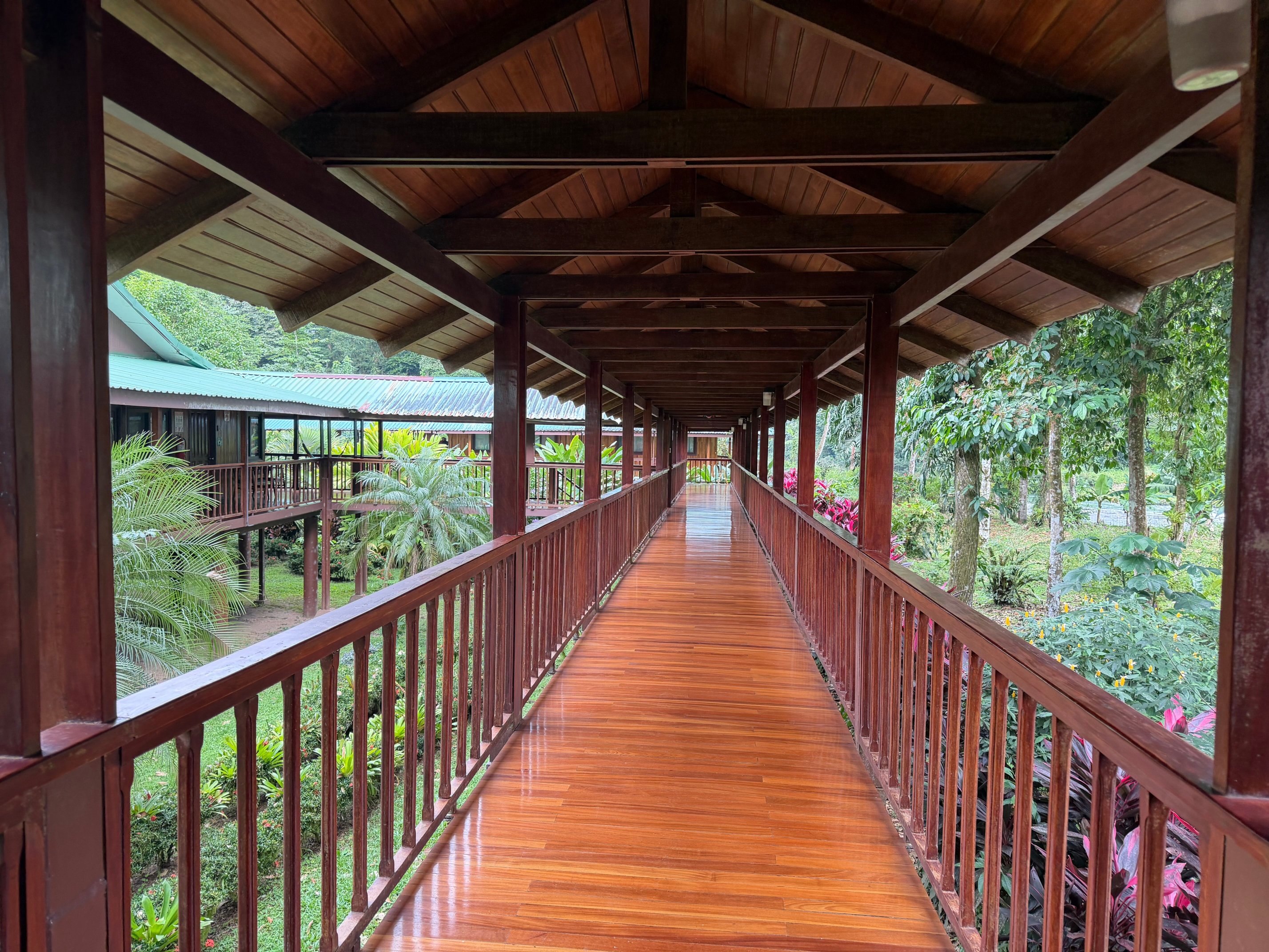 Selva Verde Lodge-官方