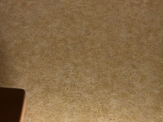 克林顿汉普顿酒店主图