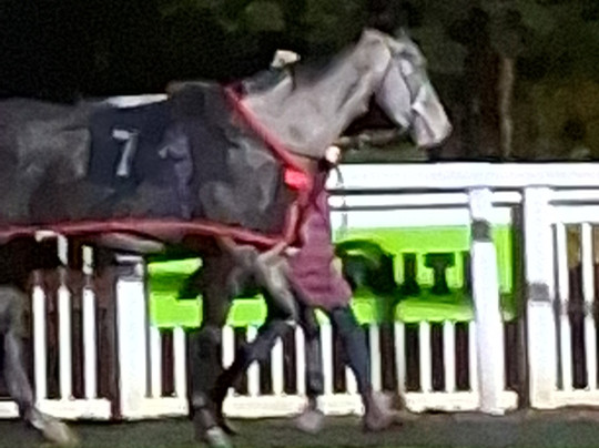 Holiday Inn Wolverhampton - Racecourse by IHG主图