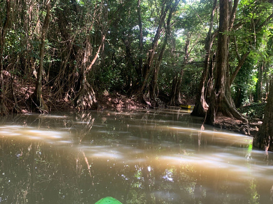 Indian River-多米尼克必去景点