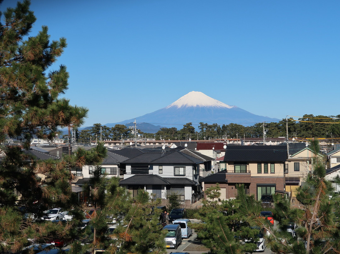 Shizuoka City Miho no Matsubara Culture & Creativity Center Mihoshirube-静冈市必去景点