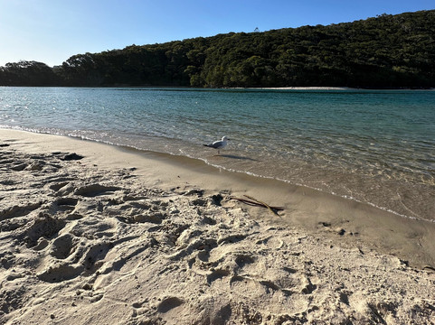 Tallebudgera Creek-Tallebudgera必去景点