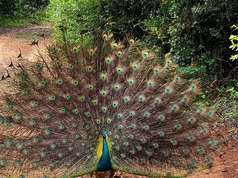 La Tours-Hambantota必去景点