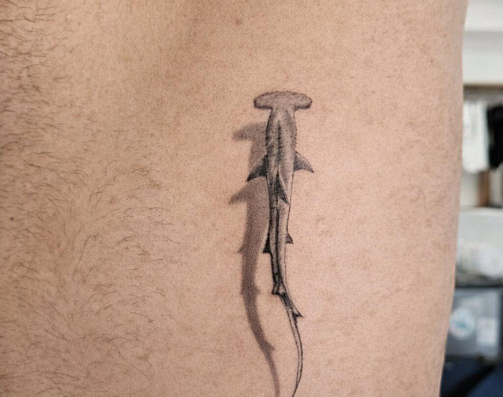 White Sloth Art Studio-塔马林多必去景点