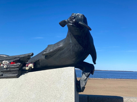Monument To the Seal - the Savior of Citizens of Arkhangelsk and Leningrad-阿尔汉格尔斯克必去景点