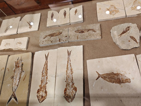 Memory of Time-朱拜勒必去景点