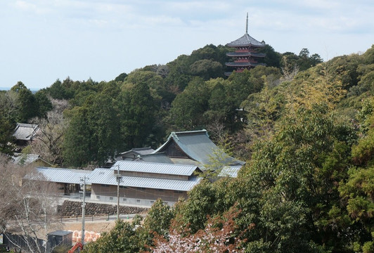 Chikurinji Temple-高知市必去景点