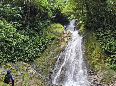 Reserva Natural y Ecoturistica La Avispa-Florencia必去景点