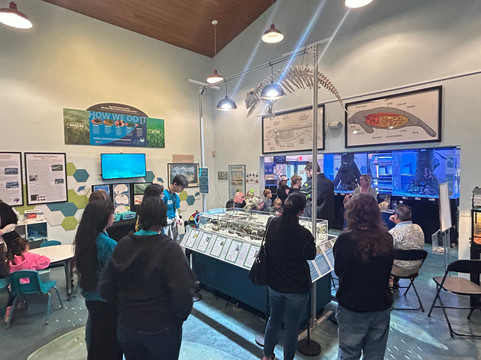 Manatee Center-匹尔斯堡必去景点