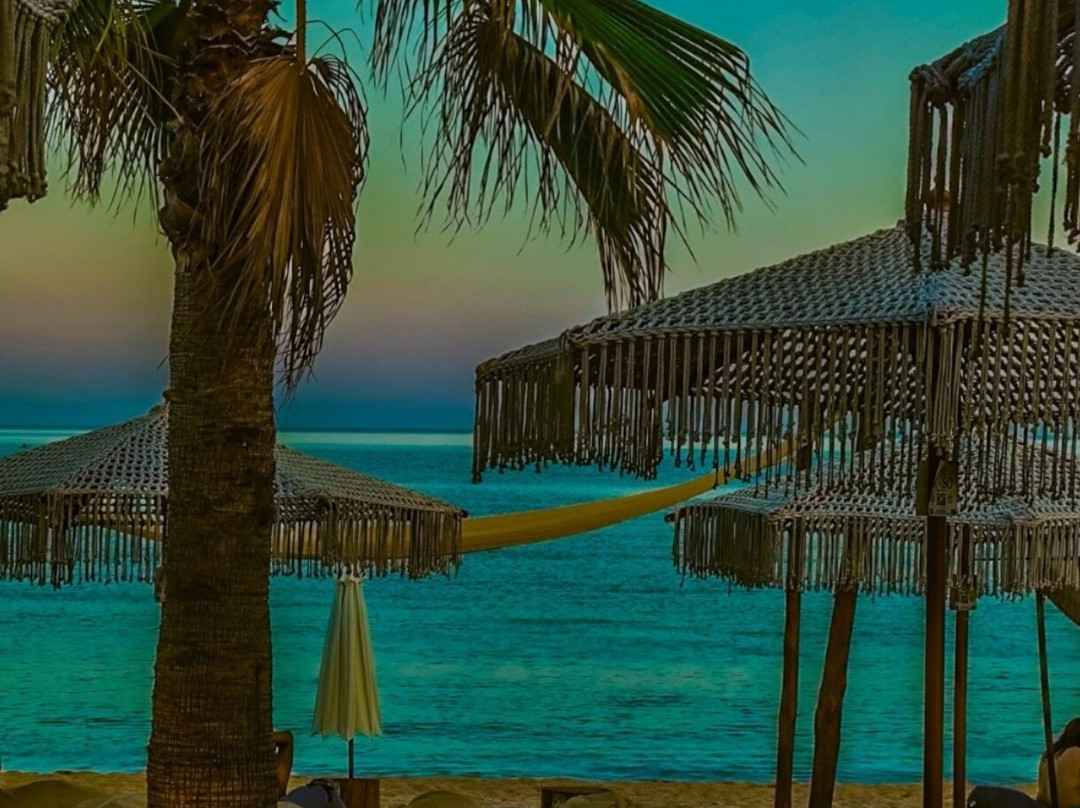Paloma Beach Bar-Paralia Eleochoriou必去景点