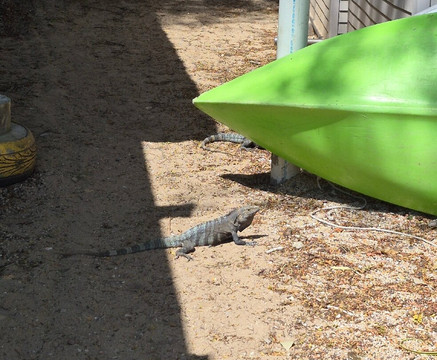 Playa de la Isla Taboga-塔沃加岛必去景点