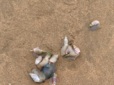 Plettenberg Beach-普利登堡湾必去景点