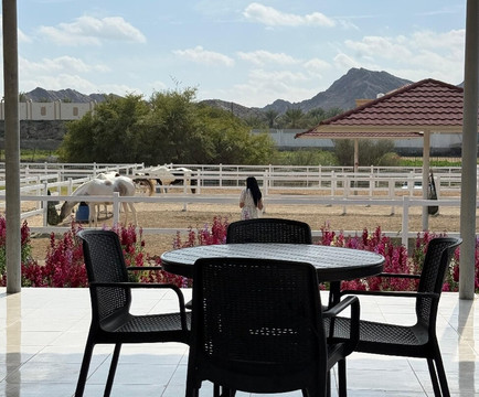 UAE Flower Farm-富查伊拉必去景点