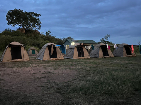 Suricata Safaris-阿鲁沙必去景点