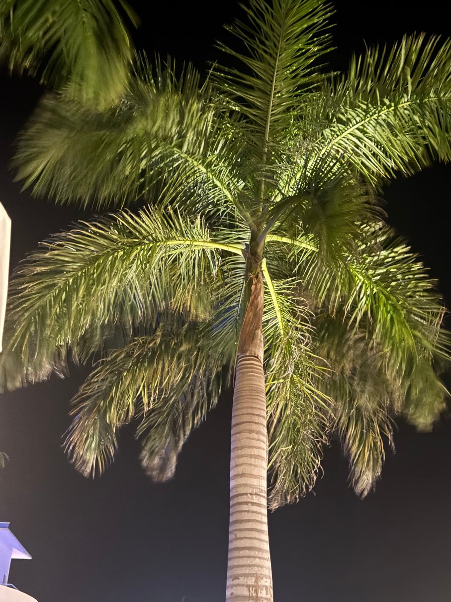 Margaritaville Island Reserve Riviera Maya by Karisma-浴室