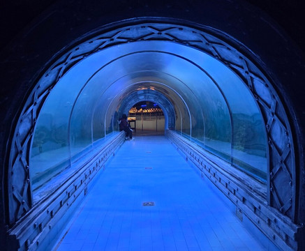 Hurghada Grand Aquarium-赫尔格达必去景点