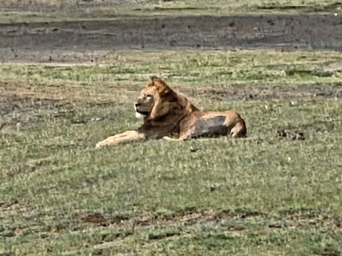 Ngurdoto Crater-阿鲁沙必去景点