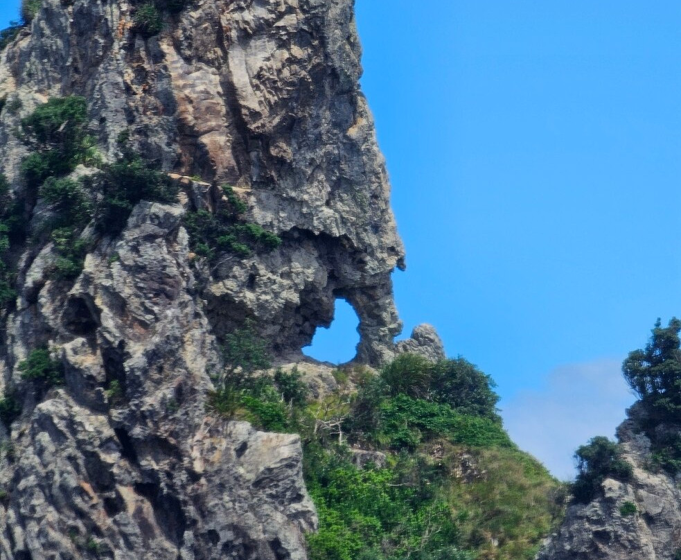 Coromandel Ocean Adventures-Tairua必去景点