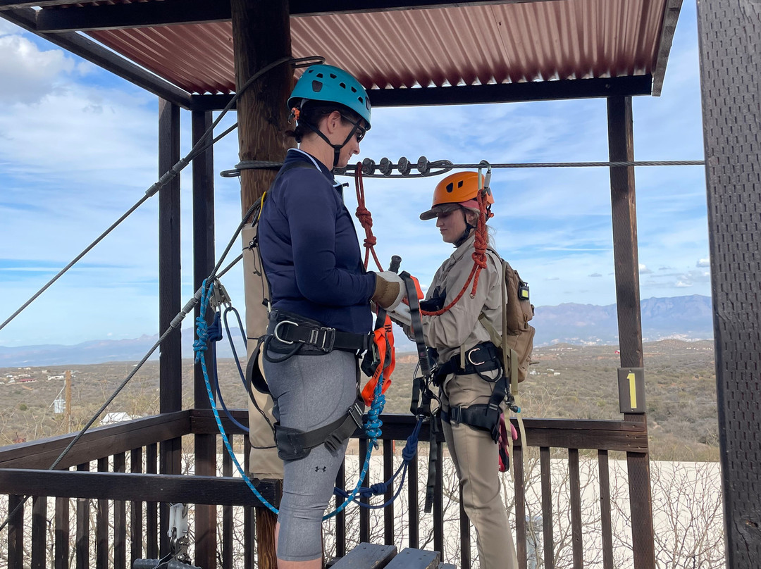 Arizona Zipline Adventures-Oracle必去景点