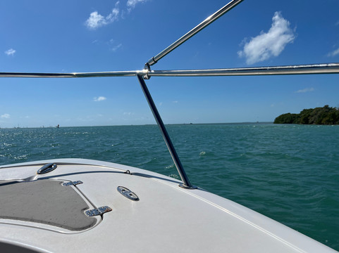 Wild About Dolphins-基韦斯特必去景点