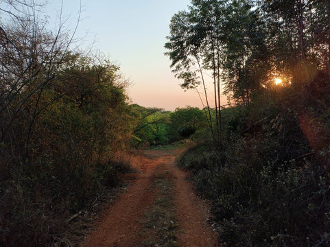 Pecan Farm Guesthouse主图