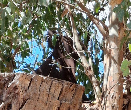 Ess Lagoon Reserve-Casterton必去景点