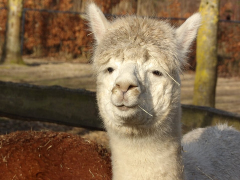 Landgoed Hoenderdaell-Anna Paulowna必去景点