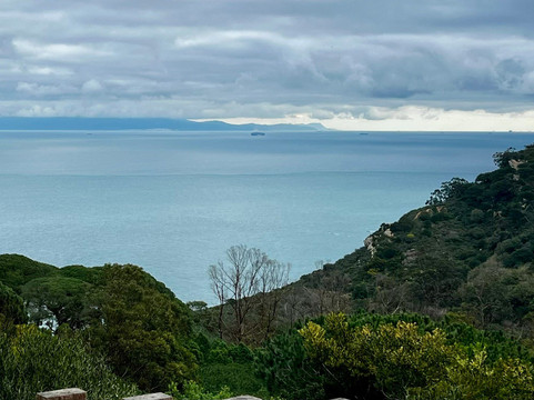 Parc Perdicaris-丹吉尔必去景点