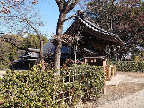 Tama Central Park-多摩市必去景点