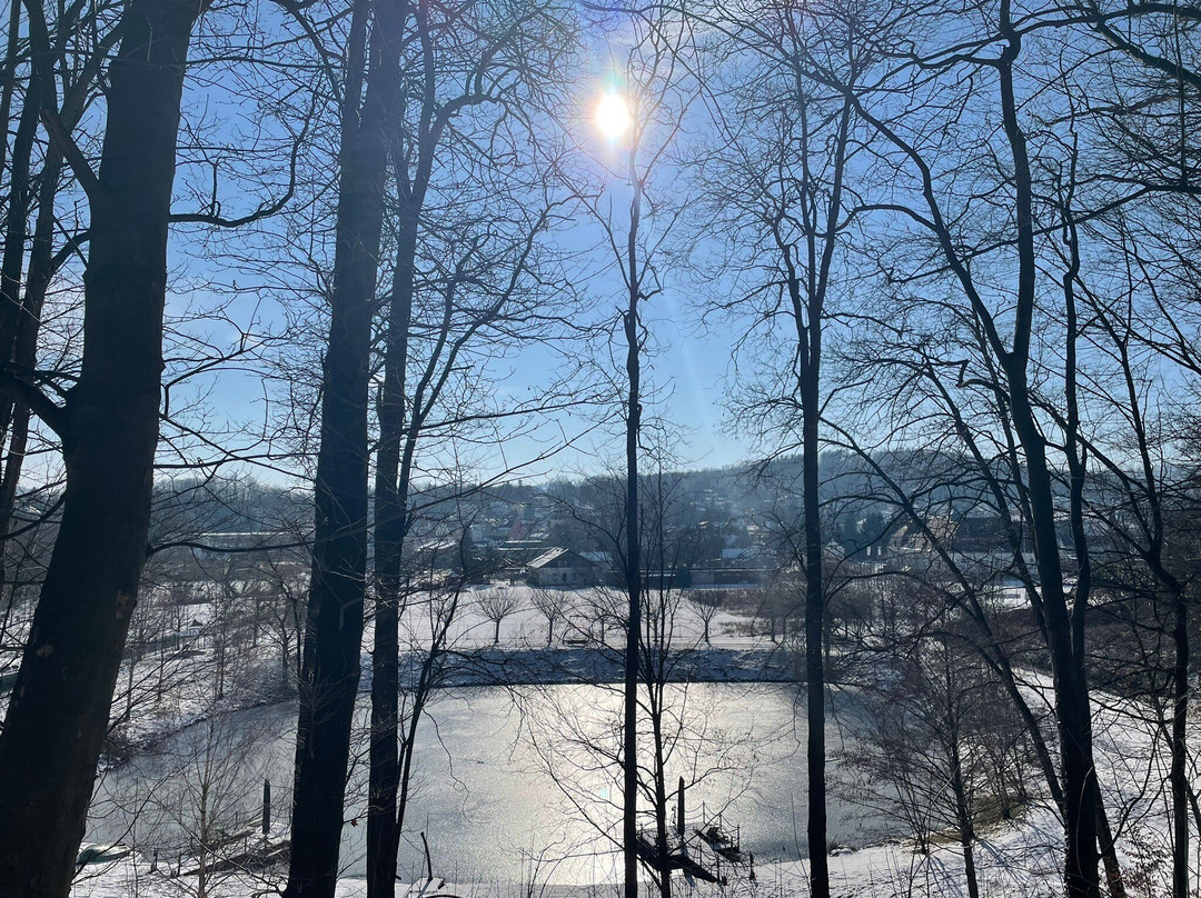 Hotel BEI SCHUMANN主图