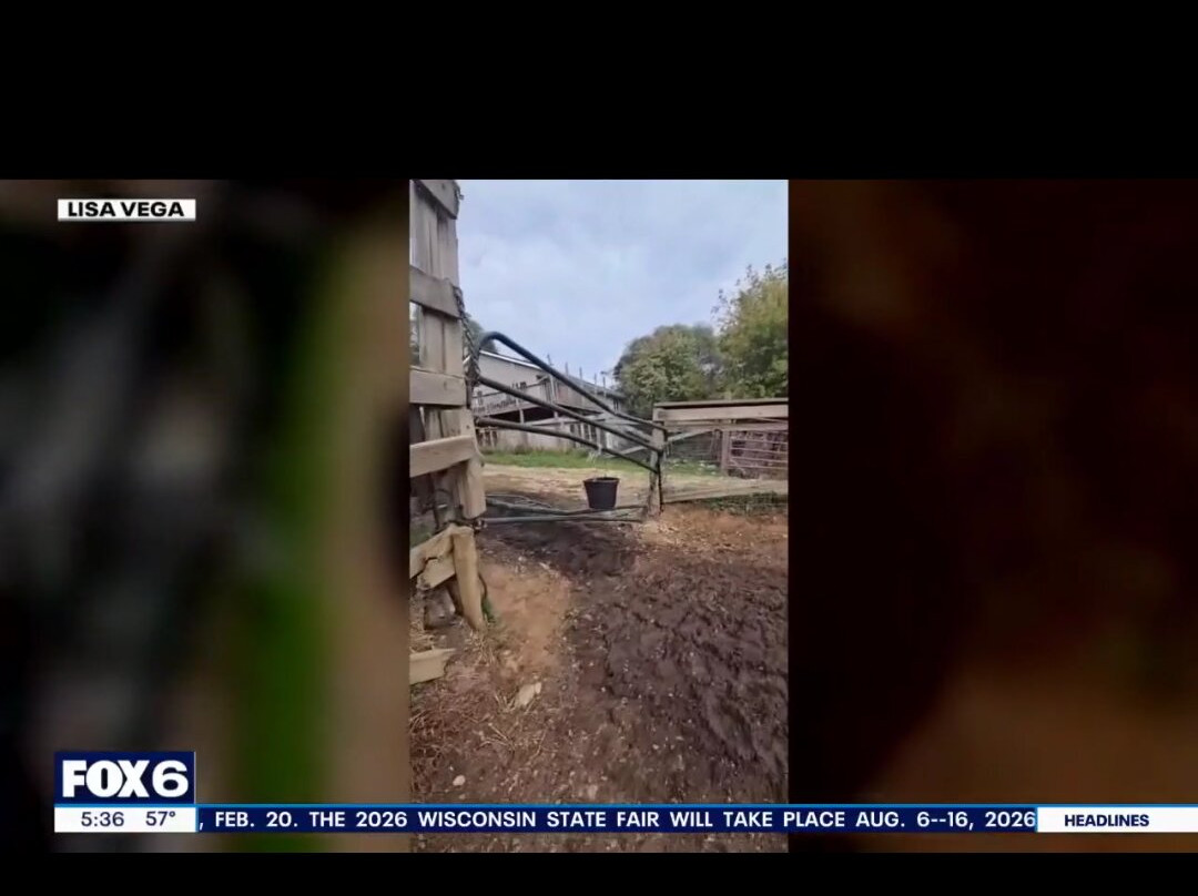 Friesian Herd Experiences-Mukwonago必去景点