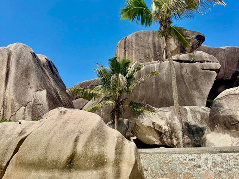 Grand Anse-拉迪格岛必去景点