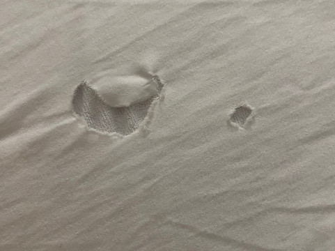 巴斯托欢朋套房酒店主图