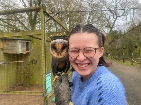 World of Owls-Randalstown必去景点