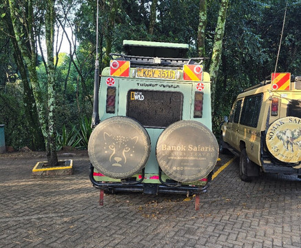 Banok Safaris-内罗毕必去景点