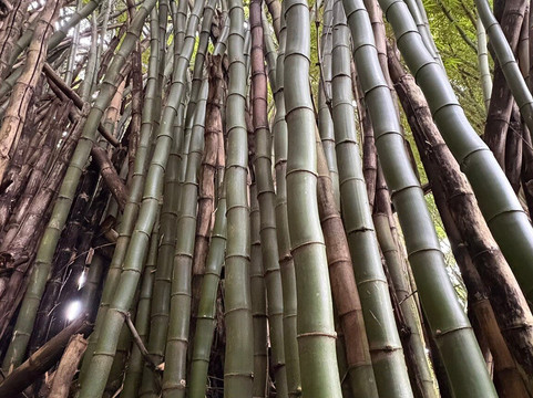 Mundaka Aventura-索科罗必去景点