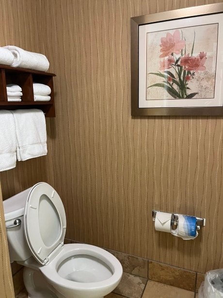 希尔顿欢朋酒店-班戈-官方