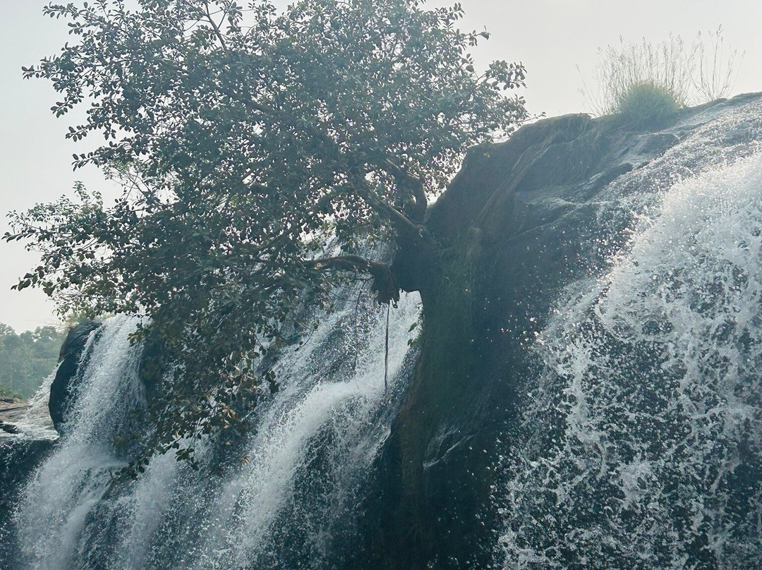 Thirparappu Waterfalls-Kanyakumari District必去景点