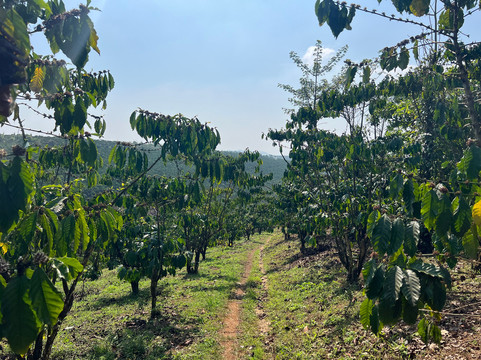 Original Easy Rider Vietnam-大勒必去景点