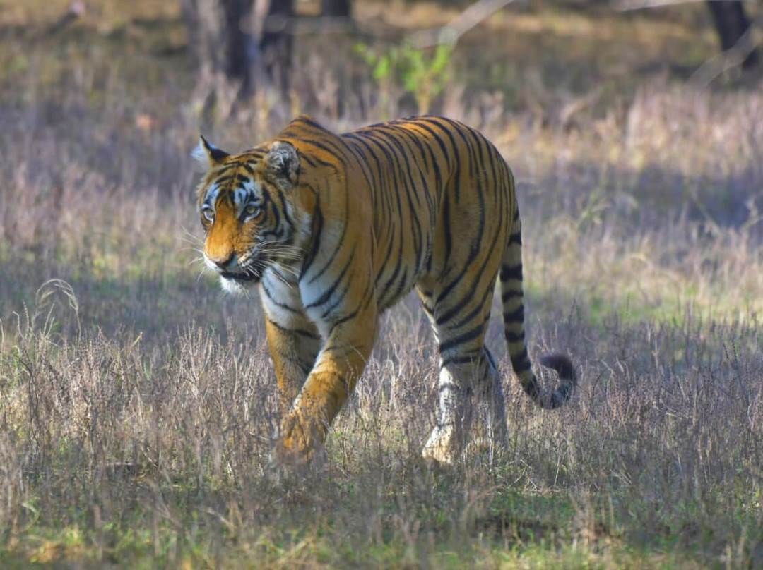 India Highlights Tour-新德里必去景点
