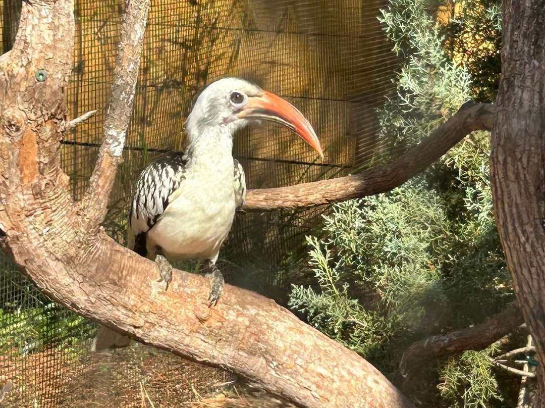 North Florida Wildlife Center-Lamont必去景点