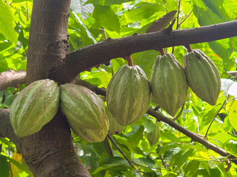 MadaDays-诺西贝必去景点