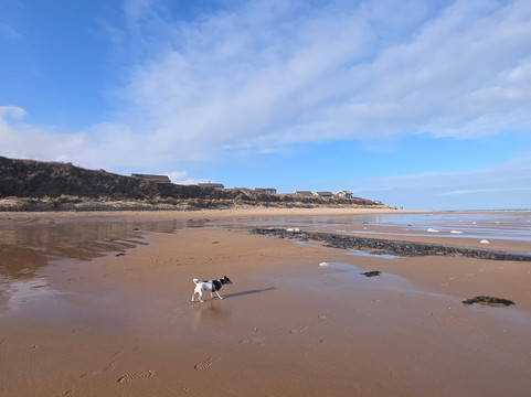海滨别墅酒店主图