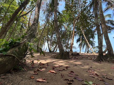 Gandoca - Manzanillo Wildlife Refuge-Province of Limon必去景点